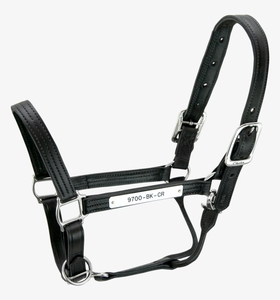 Halter de nailon con purpurina para caballos, Halters de PP, caballos ecuestres, cabeza de caballo - Product Image 4