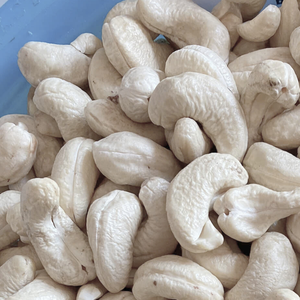 เม็ดมะม่วงหิมพานต์ดิบจากโรงงานเม็ดมะม่วงหิมพานต์ W320และ W240 - Product Image 1