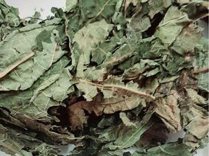 ใบมะละกอแห้งเวียดนามคุณภาพสูง ใบมะละกอดิบชาสมุนไพรใบมะละกอธรรมชาติ - Product Image 2