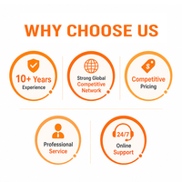 Expédition rapide DDP Chine vers les États-Unis |   De porte à porte |   Suivi de colis |   Frais de livraison réduits |   Agent Express