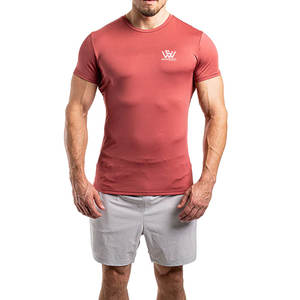 Fitness Wear Durable manga corta gimnasio Fitness camisetas verano ropa cuello redondo Pakistán nuevo diseño gimnasio camiseta - Product Image 2