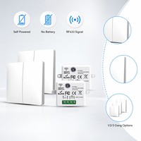 Interrupteur mural sans fil SIXWGH RF433 auto-alimenté à 2 boutons, télécommande sans batterie, 10A, étanche, interrupteur d'éclairage