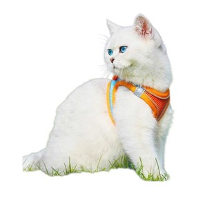 Reflective Polyester Animal Pattern Leash and Harness Set for Dogs Adjustable & Durable Nylon Mesh Pet Leash From Vietnam - Product Image 4