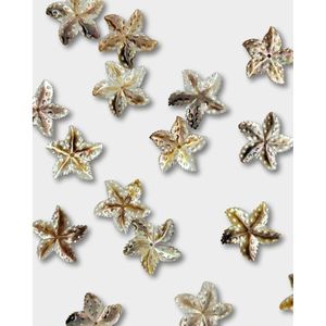Cuentas Sueltas de Concha de Estrella de Mar Negra - Product Image 4