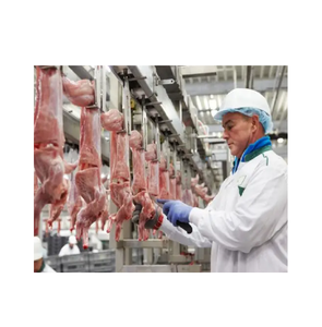 ขากระต่ายแช่แข็งสำหรับขายในปริมาณมากเนื้อสะอาดและนุ่มบรรจุสดใหม่ตอนนี้ราคาถูกมาก - Product Image 6