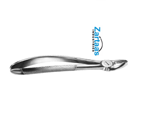 Fórceps de extracción de acero inoxidable de alta calidad No. 17 molares superiores, exportadores y fabricantes correctos - Product Image 5