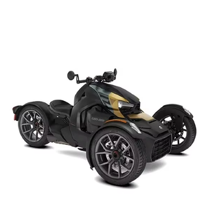 Precio de Mayoreo para Motocicletas Deportivas Can-Am Ryker 600 ACE 2025 para Adultos con 3 Años de Garantía, Listas para Exportación - Product Image 1
