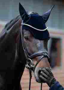 ผ้าคลุมหูม้าถักโครเชต์ น้ำหนักเบา ระบายอากาศได้ดี ป้องกันแมลงวันได้อย่างมีประสิทธิภาพ สวมใส่สบาย - Product Image 5