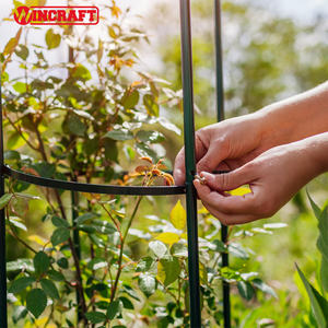 Obélisque de treillis de jardin en métal décoratif extérieur pour plantes grimpantes arbustes et roses cadre d'ornements de jardin - Product Image 3