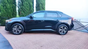 2022 BX4Z SUV AWD Double Motor R18 Lithium Battery 110kWh+ Fast-Charge Leather Seats <b>Panoramic</b> Sunroof 6-Seater LED Lights - Product Image 6