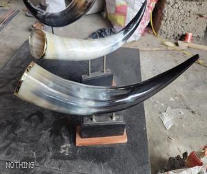 Viking <b>Mug</b> Drinking for Molding Brass Rim With Horn <b>Stand</b> for Sale Best Quality Buffalo Ox Drinking Horn Natural agate - Product Image 4