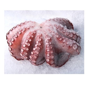 Pulpo gigante congelado: alta calidad, frescura garantizada y perfecto para restaurantes de mariscos - Product Image 1