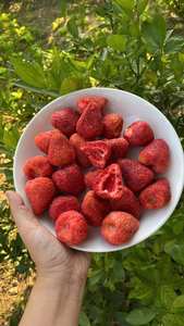 VENTA CALIENTE Blue Lotus Fresas liofilizadas 2025 Fresas fritas de fresa Rebanadas dulces Perfectas para yogur Batido Postre Topping - Product Image 2