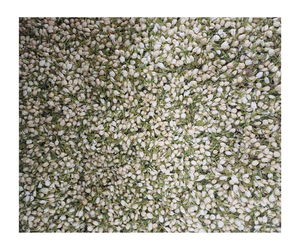 คาเฟอีนชาดอกมะลิธรรมชาติสำหรับการผ่อนคลาย - Product Image 1