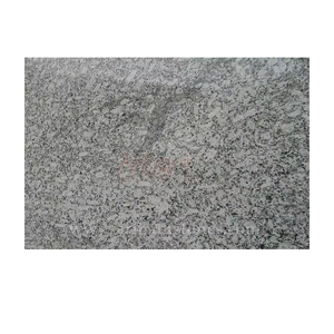 Meilleures dalles de granit blanc de qualité supérieure Carreaux d'extérieur au design moderne Grandes dalles polies Fournisseur en gros direct - Product Image 5