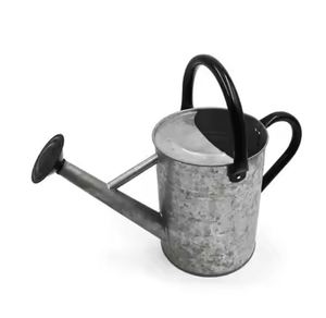 Maceta de agua para plantas de jardinería con lata de agua para exteriores de alta calidad Regadera galvanizada en color gris - Product Image 1