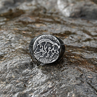 Bague Viking en Acier Inoxydable, Souvenir Historique Touristique Nordique, Bague de Freyr, Dieu Nordique, Bijoux Viking
