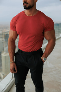 Fournisseur en gros sur mesure T-shirts pour hommes à col rond en bambou rouge Basics T-shirt en coton respirant pour l'entraînement et le streetwear pour hommes - Product Image 3