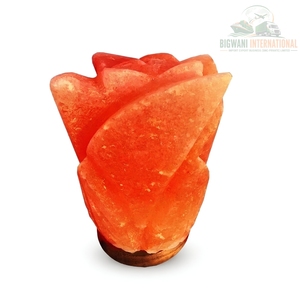 Lampe de nuit en sel rose de l'Himalaya naturel sculptée à la main, avec base en bois et variateur d'intensité, pour chambre, spa, bien-être et décoration - Product Image 1