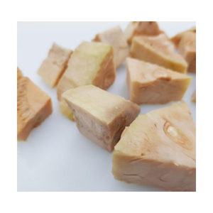 VENTE DE JEUNES JACKFRUIT EN CONSERVE ABORDABLE AVEC BONNE QUALITÉ DE FOURNISSEUR VIETNAMIEN - Product Image 5