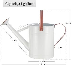 Perfect Pour Elegantes regaderas para sus plantas Nutre la naturaleza: regaderas esenciales para verduras saludables - Product Image 2