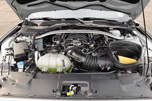 Mustang Mach 1 Premium Coupé 2021, Transmisión Manual de 6 Velocidades, Equipamiento de Alta Gama, Motor Coyote V8 de 5.0 Litros - Product Image 2