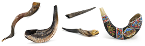 Corne casher yéménite de haute qualité Shofar corne à boire polie - Product Image 4