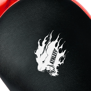 2024 nouvelles mitaines de mise au point gagnantes professionnelles pour MMA Kickboxing Arts martiaux Muay Thai karaté boxe poinçon mitaines poinçonnage - Product Image 3