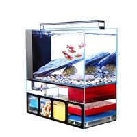 Aquarium de Luxe 120L Tout-en-un avec Filtre de Fond Intégré, Verre Ultra Transparent, pour Bureau et Extérieur, Idéal pour Poissons Rouges