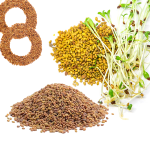 Alfalfa | Adecuado para pastoreo abierto y alimentación de puestos - Product Image 3