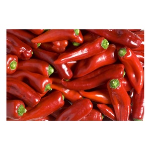 Proveedor de Chiles Rojos Frescos a Precio de Mayoreo - Product Image 1