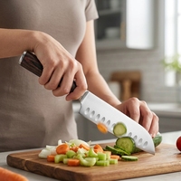 Couteau Santoku professionnel de 7 pouces, ultra-affûté, en acier inoxydable à haute teneur en carbone, couteau de chef japonais