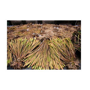 Material de jacinto de agua seca sostenible y ecológico, fardo de cuerda trenzada de Jacinto seco natural en stock de Vietnam - Product Image 4