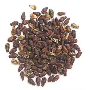 Shivlingi Seeds Bryonia Laciniosa Sivalingi Dried Raw Herbs <b>Plant</b> Extract <b>Food</b> Grade - Product Image 3