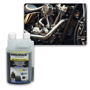 Olio Lubrificante per Motori a 2 Tempi 1 Litro (2 Ugelli) - Product Image 5