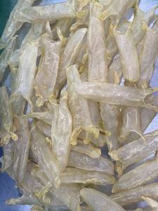 Vessie de poisson séchée naturelle non salée, haute pureté, nourrissante, fruits de mer pour l'exportation, normes et magasins d'alimentation haut de gamme - Product Image 6