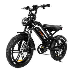 Hot Selling V20 3.0 20 Inch 250W 750w 1000w Fat Tire Mountain Bike Ebike - Product Image 1
