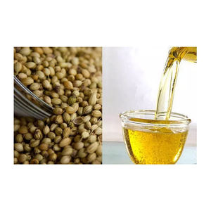 Venta al por mayor, aceite esencial de cilantro certificado, aceite portador de hierbas prensadas en frío de alta calidad, Semillas certificadas MSDS - Product Image 2