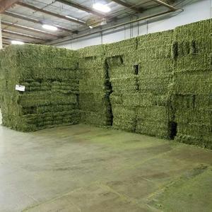 Top Quality Grade Alfalfa Lucerne Hay for Animal <b>Feed</b> Cattle Horse Cow Chicken Pet - Product Image 5