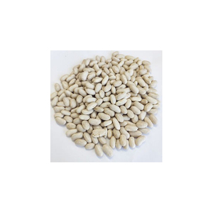 Haricots blancs de spécialité pour les producteurs artisanaux - Product Image 6