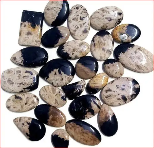 Natural Palm Root gemstone wholesales palm root loose Stones For jewelry making Palm Root Manufacture Stone wholesale supplier