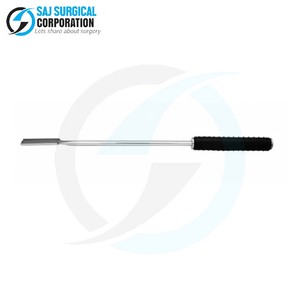 Escofina dental OEM personalizable de acero inoxidable con logotipo Pedido a granel para proveedores veterinarios y clínicas equinas - Product Image 1