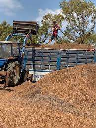 Cascarilla de café natural, materia prima versátil para agricultura e industria | Eficiente biocombustible ecológico - Product Image 5