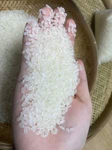 Arroz Japónica Blanco Fresco de Singapur, Grano Largo, Cosecha 2025 |   Cosecha 2025 |   OO825431311 - Product Image 4