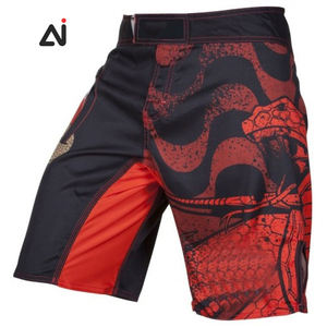 Aggrand Industry, pantalones cortos de lucha MMA para hombres con diseño de logotipo personalizado de alta calidad, servicio OEM para boxeo, artes marciales, desgaste varios - Product Image 5