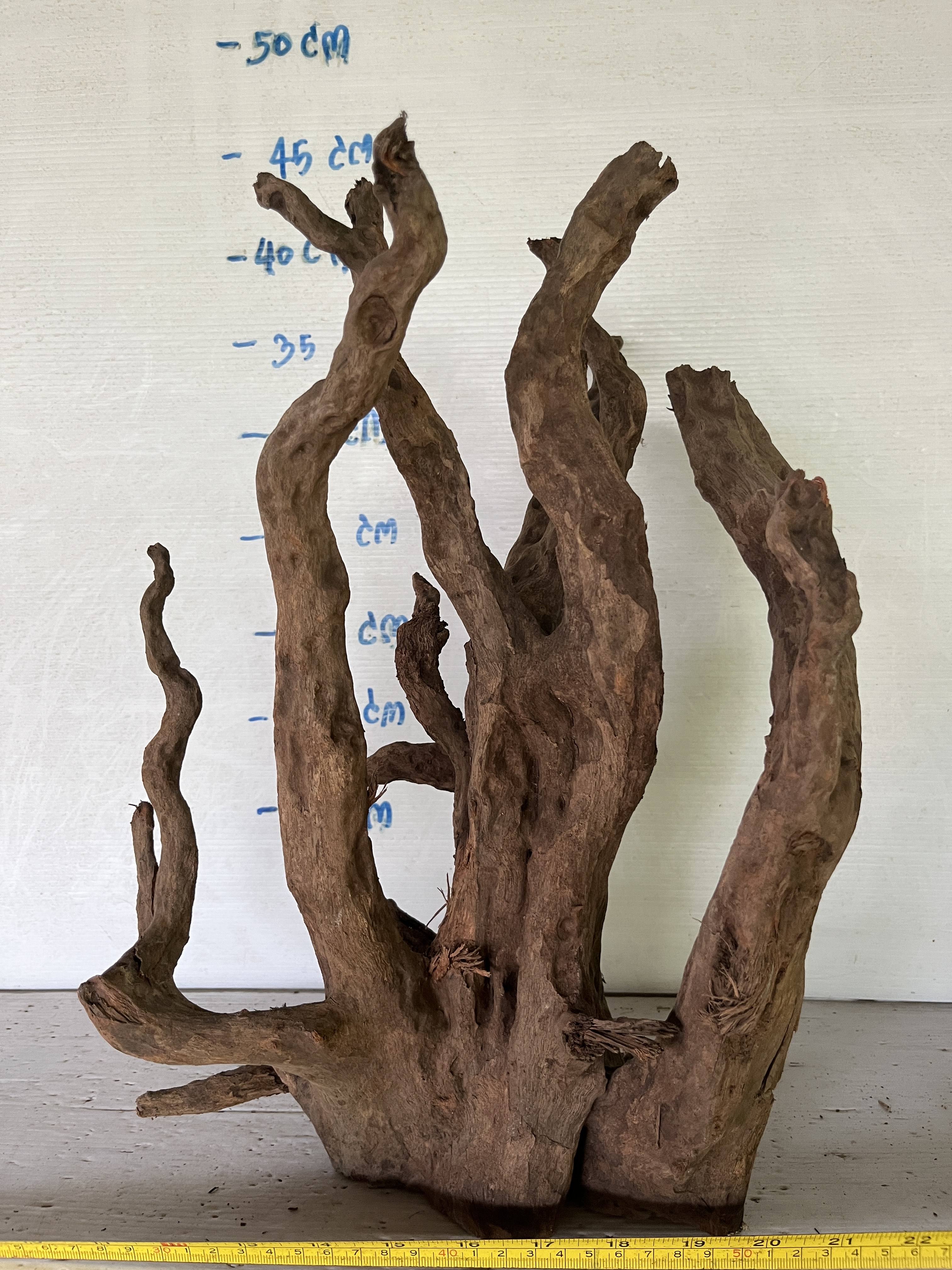 สีน้ำตาล