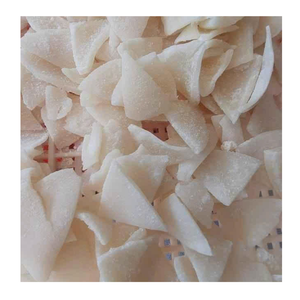 Noix de coco séchée en vrac biologique tranchée à 8% d'humidité Fruits séchés sucrés du Vietnam pour les produits de boulangerie et les biscuits à la noix de coco française - Product Image 6