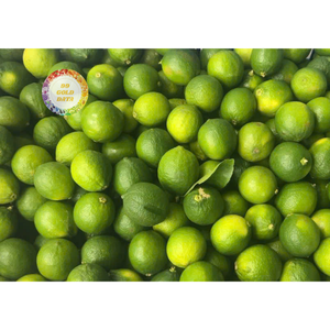 CITRONS FRAIS PREMIUM 100% NATURELS DE QUALITÉ SUPÉRIEURE ET DE BON PRIX Offre Spéciale DU VIETNAM - Product Image 5