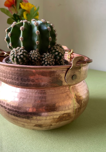 Vases en métal vintage élégants pour la décoration intérieure Pot de fleur de sol de jardin moderne Paniers suspendus de salon au design élégant - Product Image 4