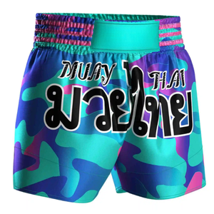 Vente en gros OEM Custom MMA Shorts Retro Sublimation Fight Shorts pour Muay Thai Boxe et Entraînement - Product Image 1